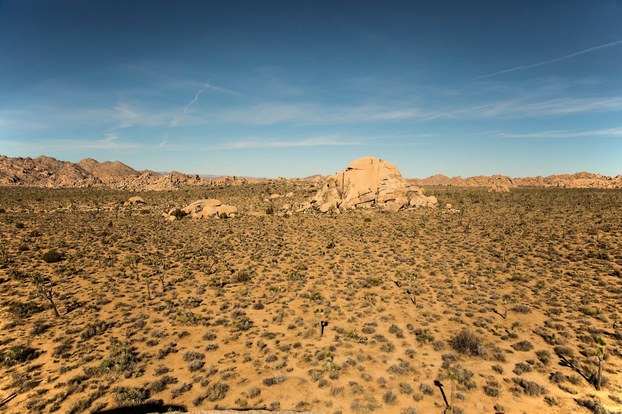 Healthy guide to Joshua Tree