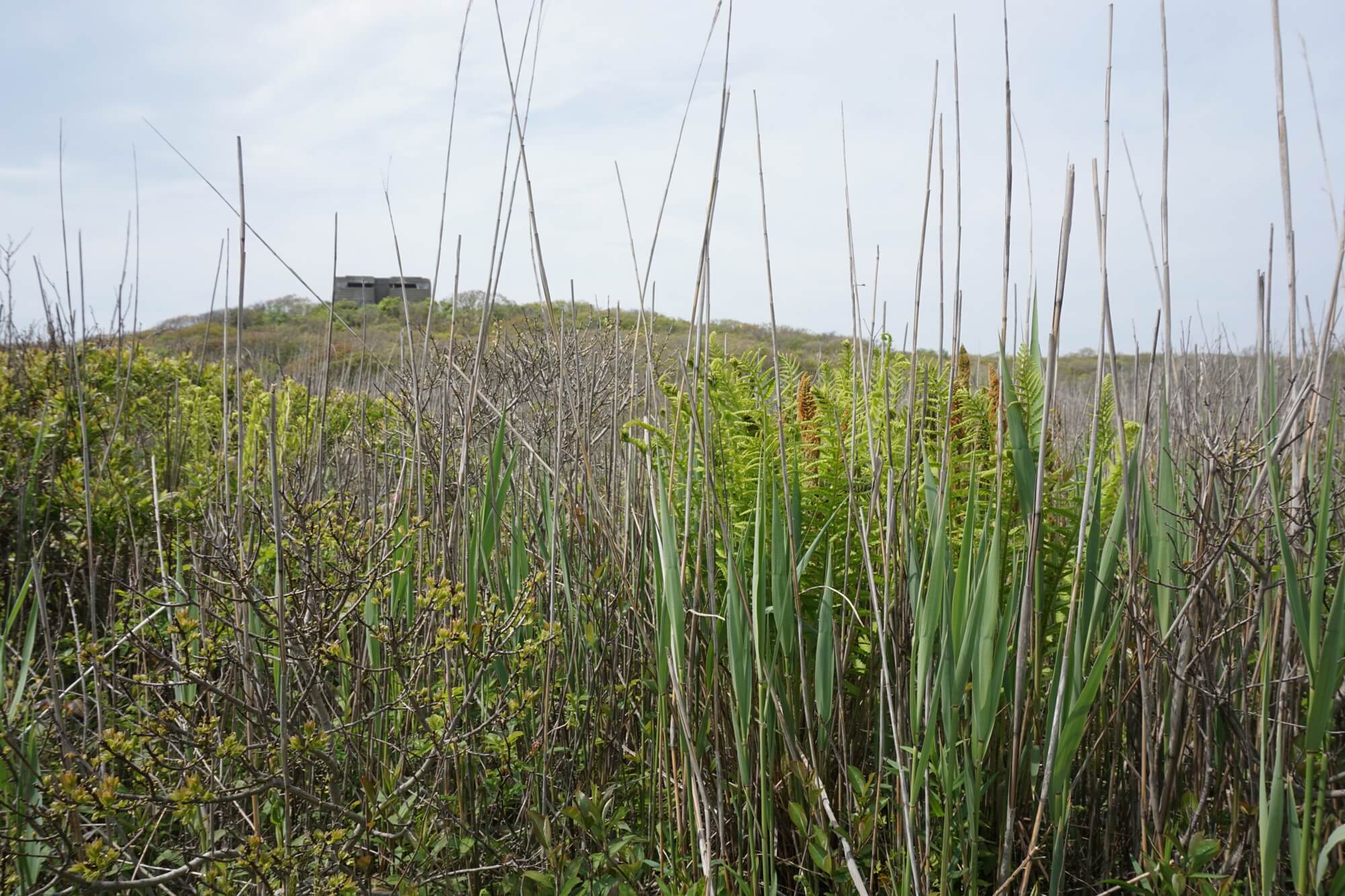 Shadmoor State Park